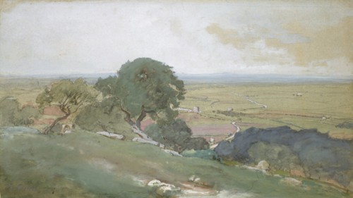 Olive Trees at Tivoli, 1873. Creator: George Inness.