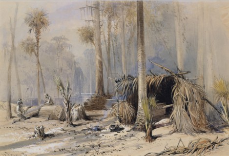 The Cypress-Shingle Yard, Ocklawaha River, Florida, 1870. Creator: Harry Fenn.