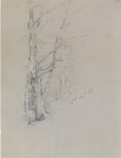 Dry Brook, 1888. Creator: Jervis McEntee.