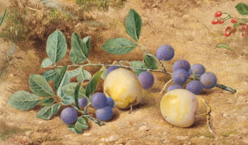 Plums, 1870. Creator: John William Hill.