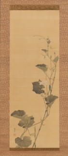 Calabash Flowers and Beetle, early 19th century. Creator: Maruyama Ôshin.