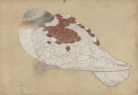Bird, 18th century. Creator: Unknown.