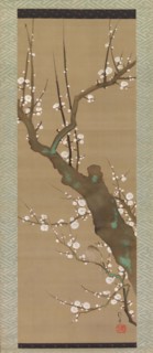Bush Warbler (Uguisu) in a Plum Tree, early 19th century. Creator: Sakai Hoitsu.