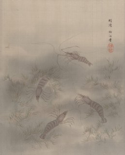 Shrimp (Ebi), ca. 1890-92. Creator: Seki Shuko.