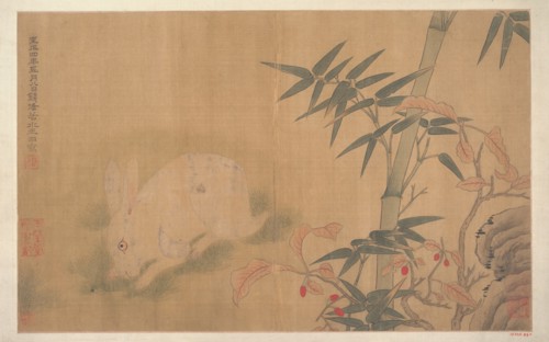 Rabbit. Creator: Unknown.