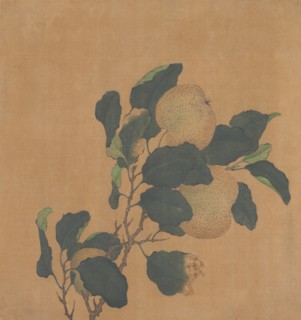 Branch of Tree with Fruit. Creator: Unknown.