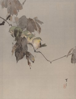 Birds on a Branch, ca. 1887. Creator: Watanabe Seitei.