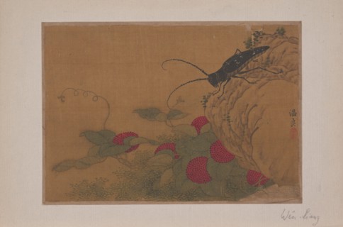 Grasshopper on Rock, 15th century. Creator: Wen Liang.