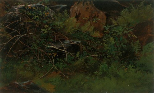 Study from Nature. Creator: William Stanley Haseltine.