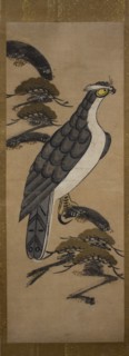 Otsu-e of Falcon on a Pine Tree , 18th century. Creator: Unknown.