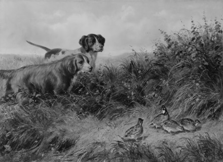 On Point, 1874. Creator: Arthur Fitzwilliam Tait.