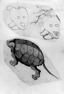 Two Sketches: One of a Turtle, the Other of Two Unidentified Objects, 18th-19th century. Creator: Hokusai.
