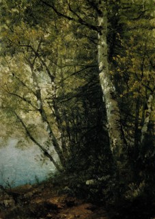 Study of Beeches, 1872. Creator: John Frederick Kensett.