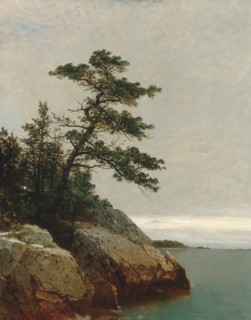 The Old Pine, Darien, Connecticut, 1872. Creator: John Frederick Kensett.