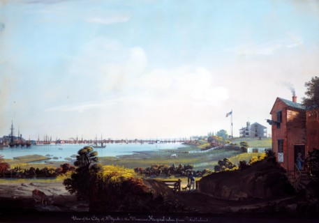 View of the City of New York and the Marine Hospital Taken from Wallabout. Creator: Nicolino Calyo.