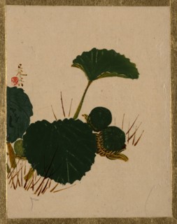 Worm on Green Leaved Plant. Creator: Shibata Zeshin.