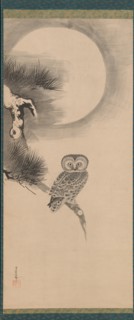 Owl on a Pine Branch, early 17th century. Creator: Soga Nichokuan.