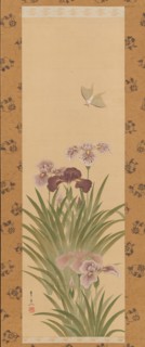 Irises and Moth, ca. 1850. Creator: Suzuki Kiitsu.
