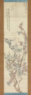 Red and White Peach Blossoms, Preparatory Sketch, 1843. Creator: Tsubaki Chinzan.