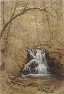 Indian Falls, Indian Brook, Cold Springs, New York, 1850. Creator: William Rickarby Miller.