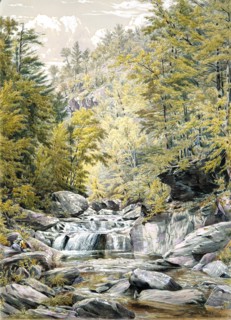Catskill Clove, 1856. Creator: William Rickarby Miller.