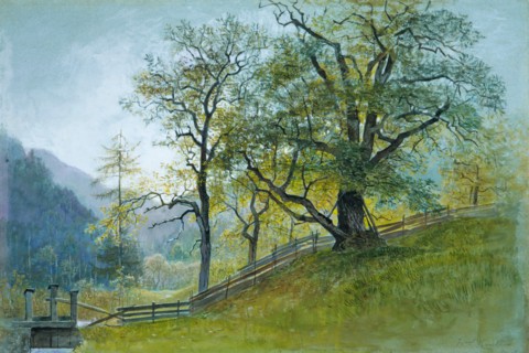 Vahrn in Tyrol near Brixen. Creator: William Stanley Haseltine.