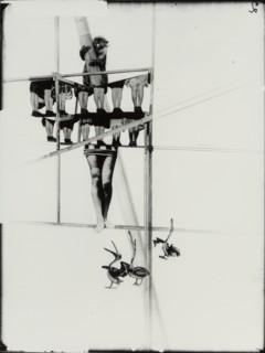 Structure of the World, c. 1925. Creator: Moholy-Nagy, Laszlo