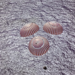 Apollo 16 - NASA, 1972. Creator: NASA.
