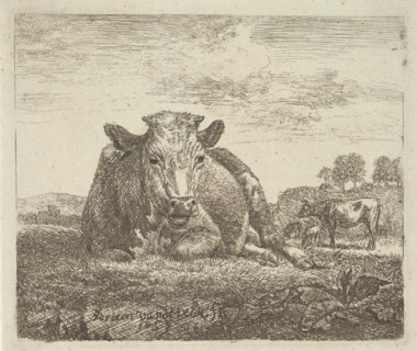 Recumbent Cow, from Different Animals, 1657. Creator: Adriaen van de Velde.