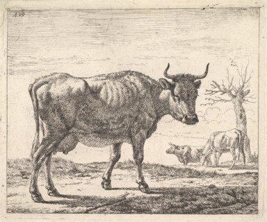 Three Cows. Creator: Adriaen van de Velde.