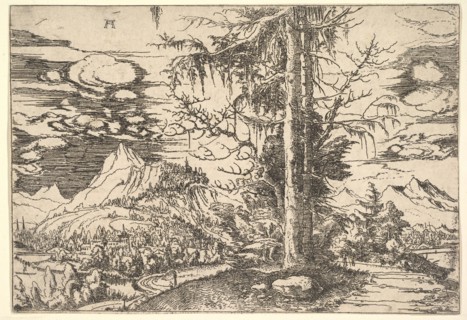 Landscape with a Double Spruce, ca. 1521-22. Creator: Albrecht Altdorfer.