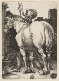 The Large Horse, 1505. Creator: Albrecht Durer.