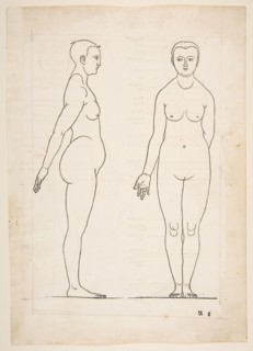 IIllustration from Dürers Vier Bucher von Menslicher Proportion, Nuremberg, 1528.n.d. Creator: Albrecht Durer.