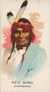 Red Bird, Chippeway, from the American Indian Chiefs series