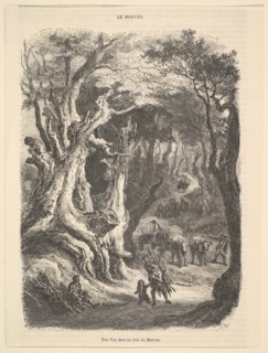 A View in the Forest of Morvan, 1837-66. Creator: Jean-Antoine Watteau.