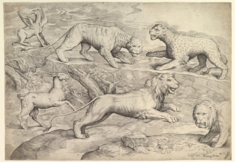 Six Animals, including lions, a tiger, a leopard, a griffin, and a goat, ca. 1530-61. Creator: Battista Franco Veneziano.