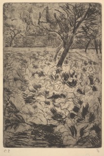 The Cabbage Field, ca. 1880. Creator: Camille Pissarro.
