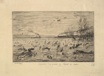The Fish Rejoice in the Departure of the Cabin Boy, 1861. Creator: Charles Francois Daubigny.