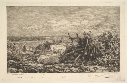 The Harvest