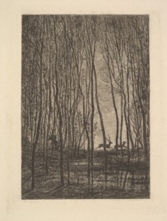 Deer in the Woods, 1850. Creator: Charles Francois Daubigny.