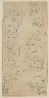 Study of animal heads.n.d. Creator: Claude Gillot.
