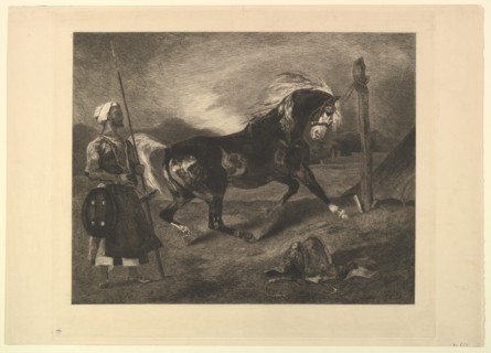 Cheval arabe au piquet, d'après Delacroix, 1857. Creator: Felix Bracquemond.