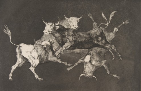 Plate D from the 'Disparates': Fools-'or Little Bulls' - fo..., ca. 1816-23