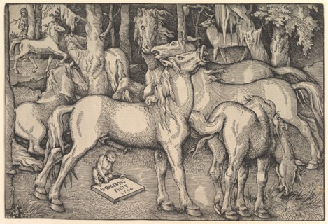 Group of Seven Horses, 1534. Creator: Hans Baldung.