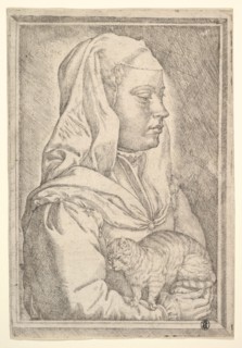 Girl with a Cat, 1546. Creator: Jan Cornelisz Vermeyen.