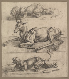 A Doe and Two Lionesses, ca. 1540. Creator: Attributed to Jan Cornelisz Vermeyen