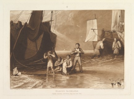Marine Dabblers