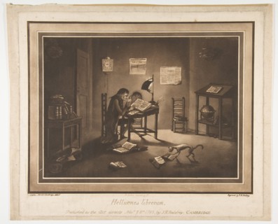 Helluones librorum