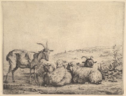 Two Goats and Three Sheep, 1655. Creator: Karel Du Jardin.