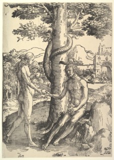 Fall of Man,